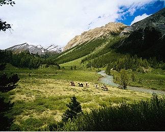 《黑神话：悟空》已成为2024年Steam上最畅销的游戏