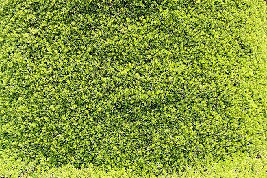 《京都异常》5月登陆Steam 类8号出口惊悚逃生